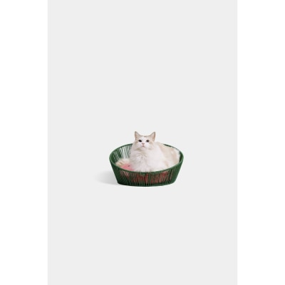 Vetreska 未卡西瓜乐乐藤窝