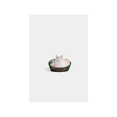 Vetreska - WATERMELON RATTAN PET BED