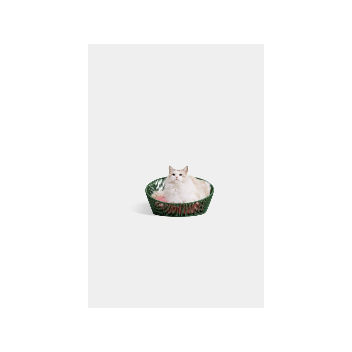 FTRHK-13322631-FRONT-zoom