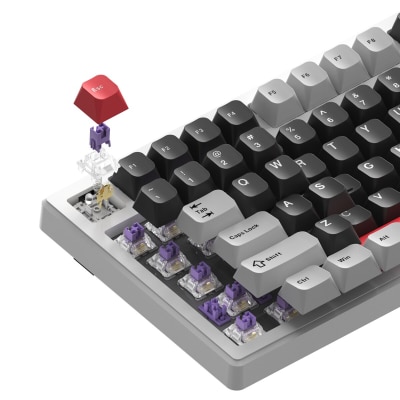 FTRHK-13406270-back-thumbnail.png