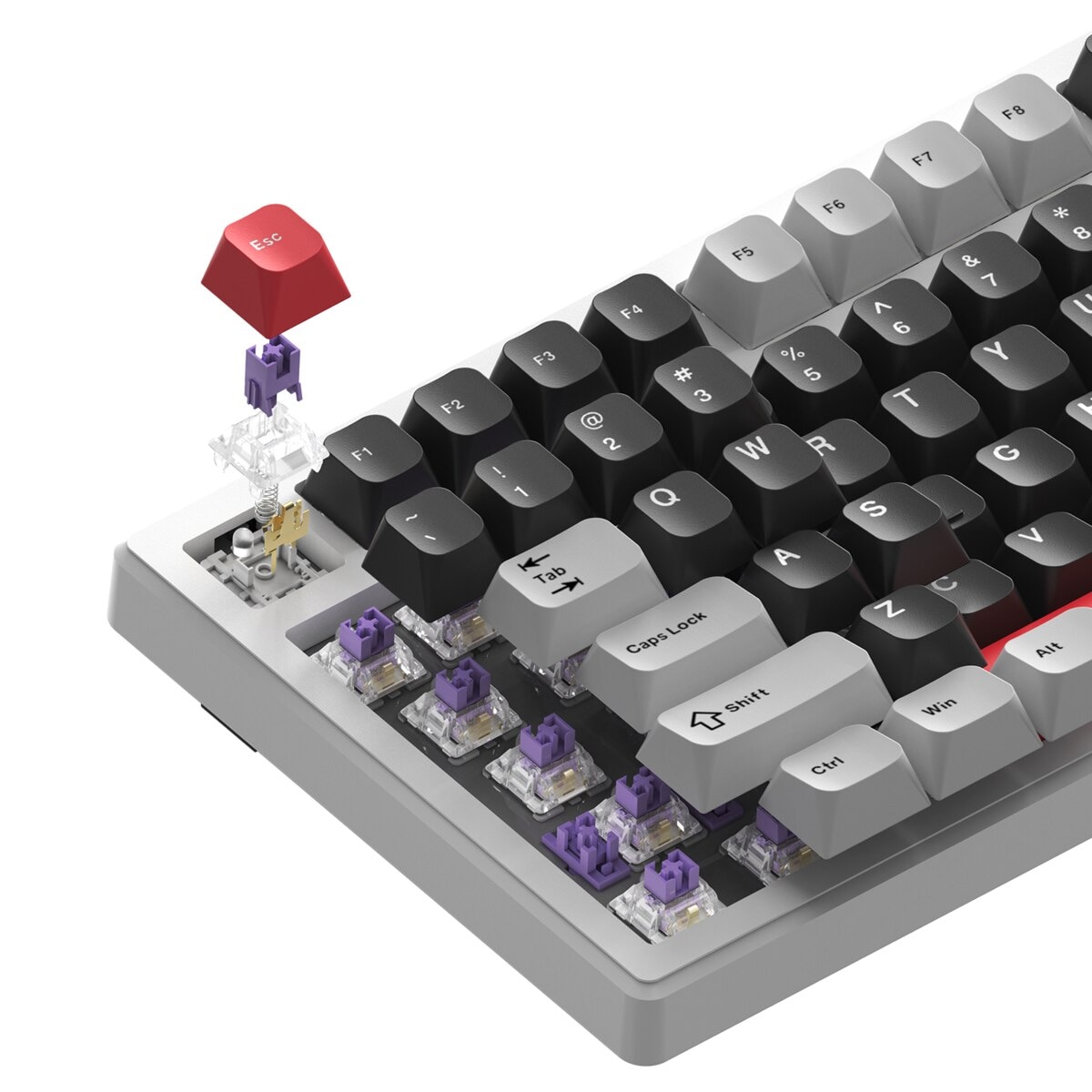 FTRHK-13406270-back-zoom.png