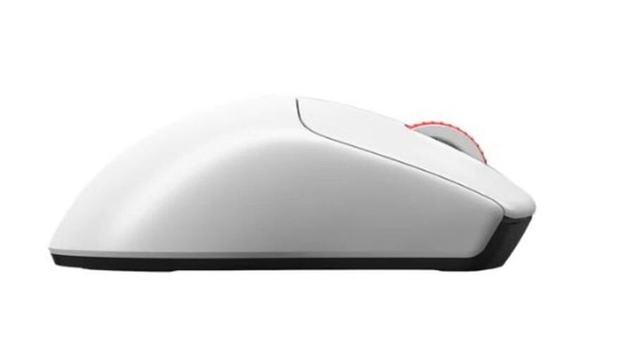 FTRHK-13406288-back-zoom.jpg