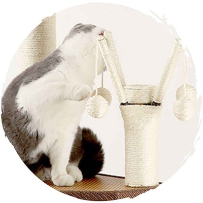 FTRHK-13477529-BACK-thumbnail.jpg