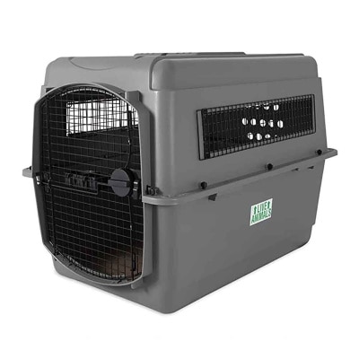 Petmate American Pet Airplane Cage (40 inches | Double XL)