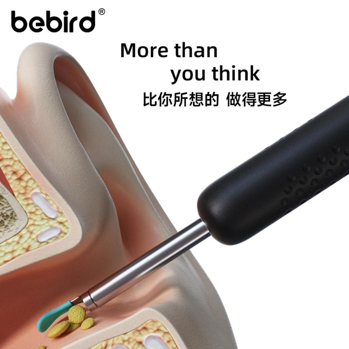 FTRHK-13533244-BACK-zoom.jpg