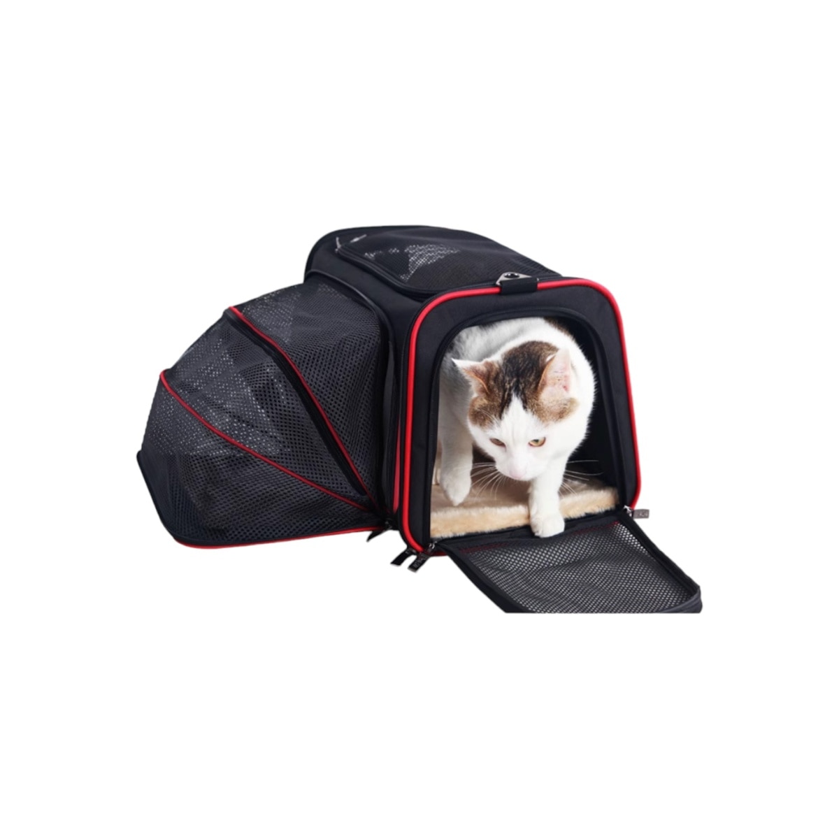 FTRHK-13535506-FRONT-zoom