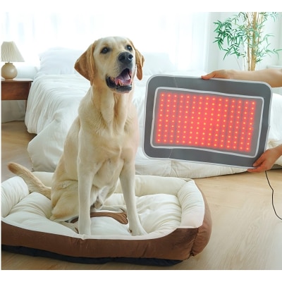 FTRHK-13536445-FRONT-thumbnail