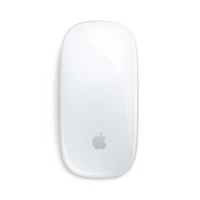 APPLE APPLE 精妙鼠标 (USB-C) - 多点触控表面