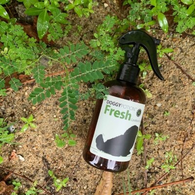 DOGGY POTION FRESH 燕麦润泽毛发喷雾 250ml