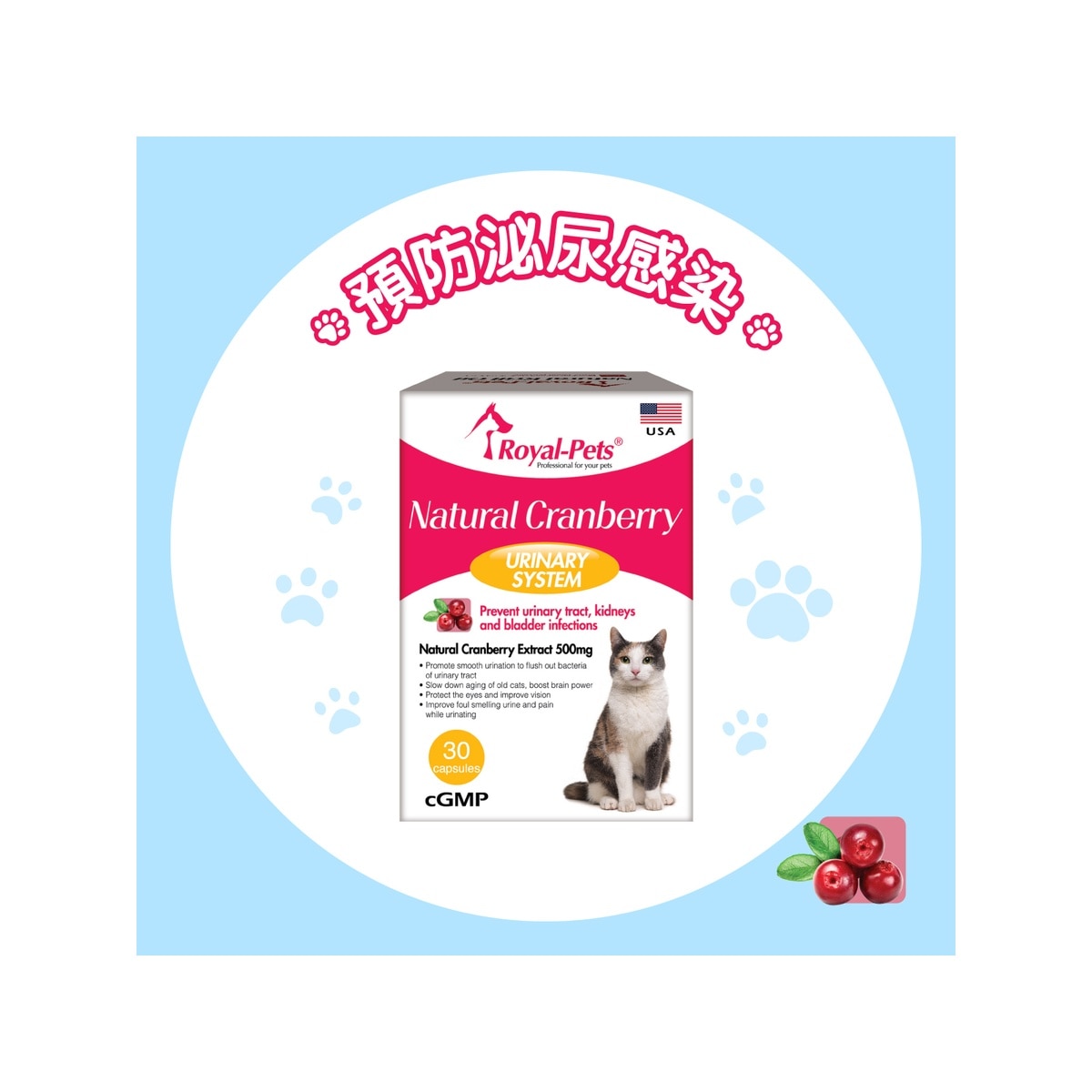 FTRHK-13594514-FRONT-zoom