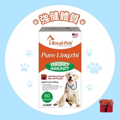 Royal-Pets 纯正灵芝 60粒胶囊