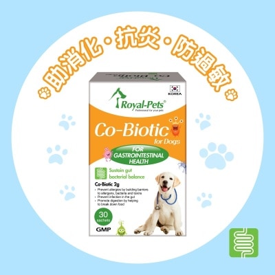 Royal-Pets 犬用肠胃益生素 30小包