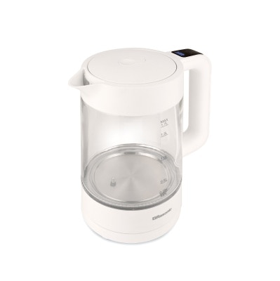 RASONIC RK-X173G Temperature Control Kettle