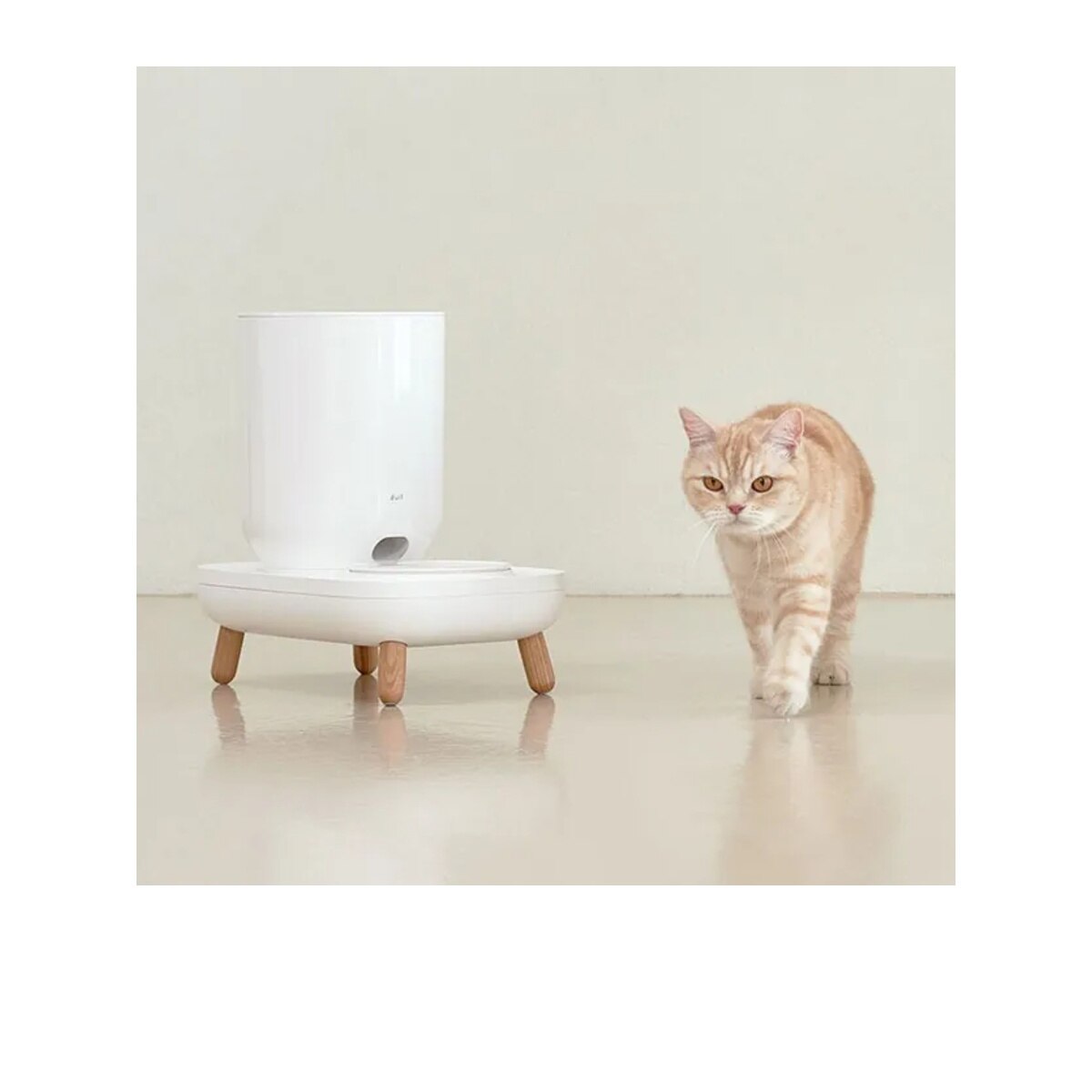 FTRHK-13639495-FRONT-zoom