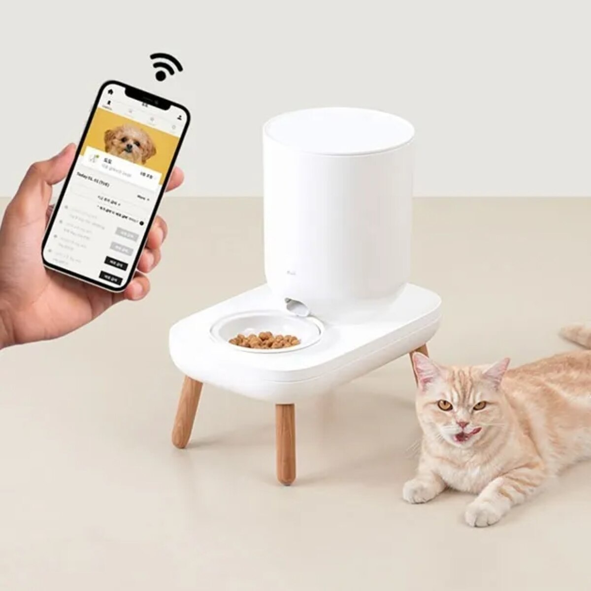 FTRHK-13639508-FRONT-zoom