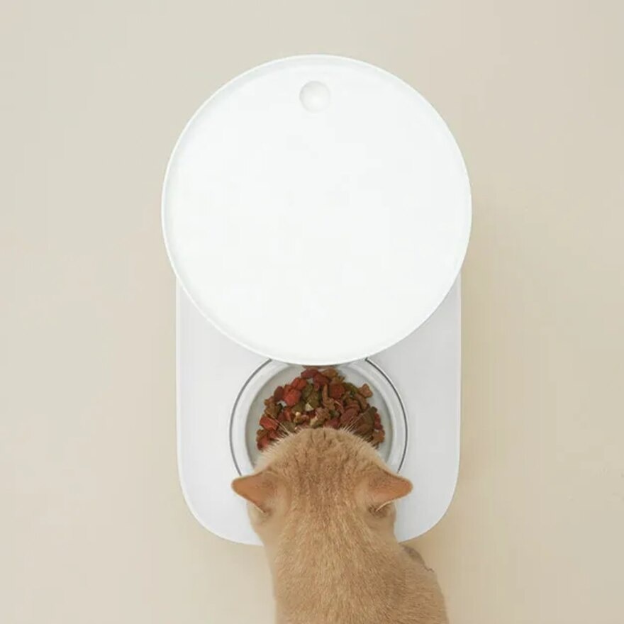 FTRHK-13639508-SIDE-zoom