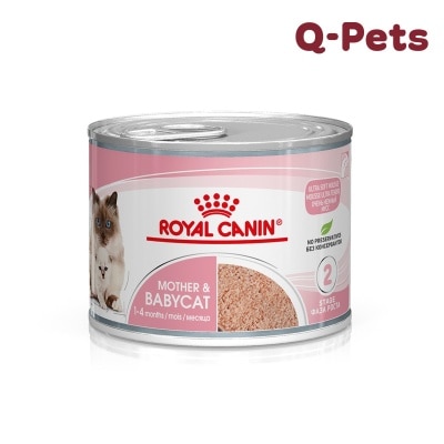 Royal Canin 1-4个月BB猫罐头195g