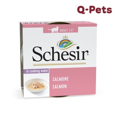 Schesir 4062純三文魚水煮貓主食罐85g
