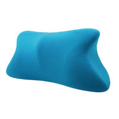 Bodycare 便攜記憶海綿腰墊 (藍色)