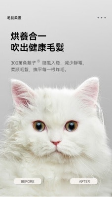 FTRHK-13838195-FEAT1-thumbnail.jpg