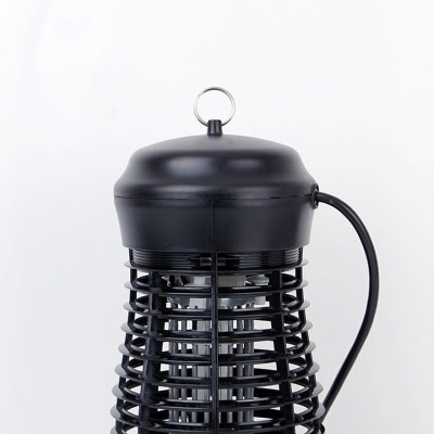 FTRHK-13863551-BACK-thumbnail.jpg