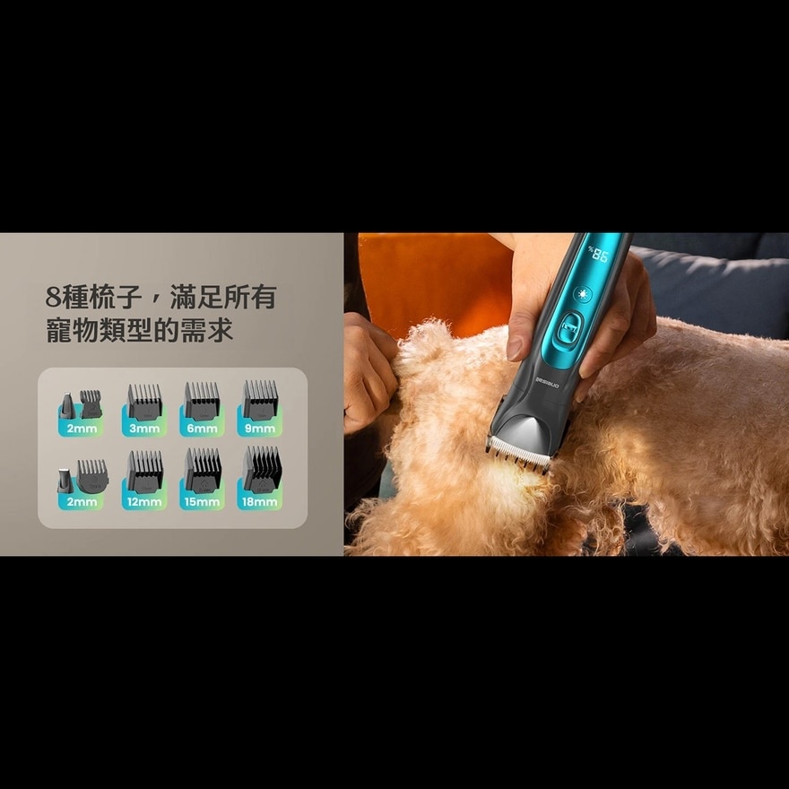 FTRHK-13877240-feat2-zoom.jpg