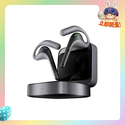 Timekettle - W4 Pro AI藍芽翻譯耳機