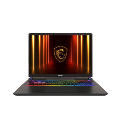 MSI 微星 Vector 16 HX AI A2XWHG RTX5070Ti QHD+ 240Hz 电竞手提电脑