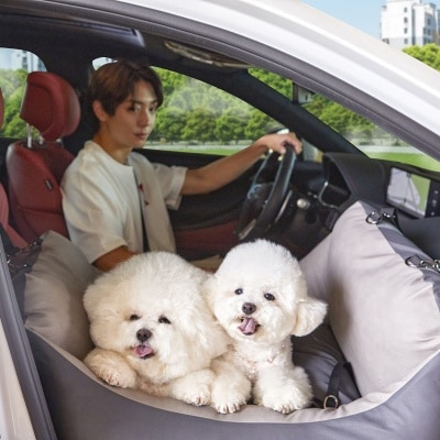 Barbichon Pet Car Seat & Bed