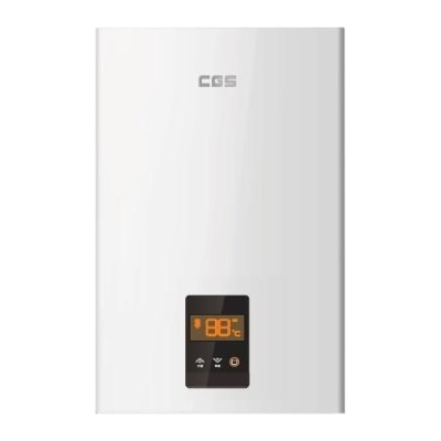 Crown 皇冠牌 Crown CGS CW10F2RF-2(TG) 背出煙囪10公升煤氣熱水爐 熱水爐