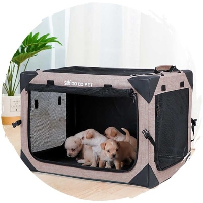 FTRHK-13903372-FEAT2-thumbnail