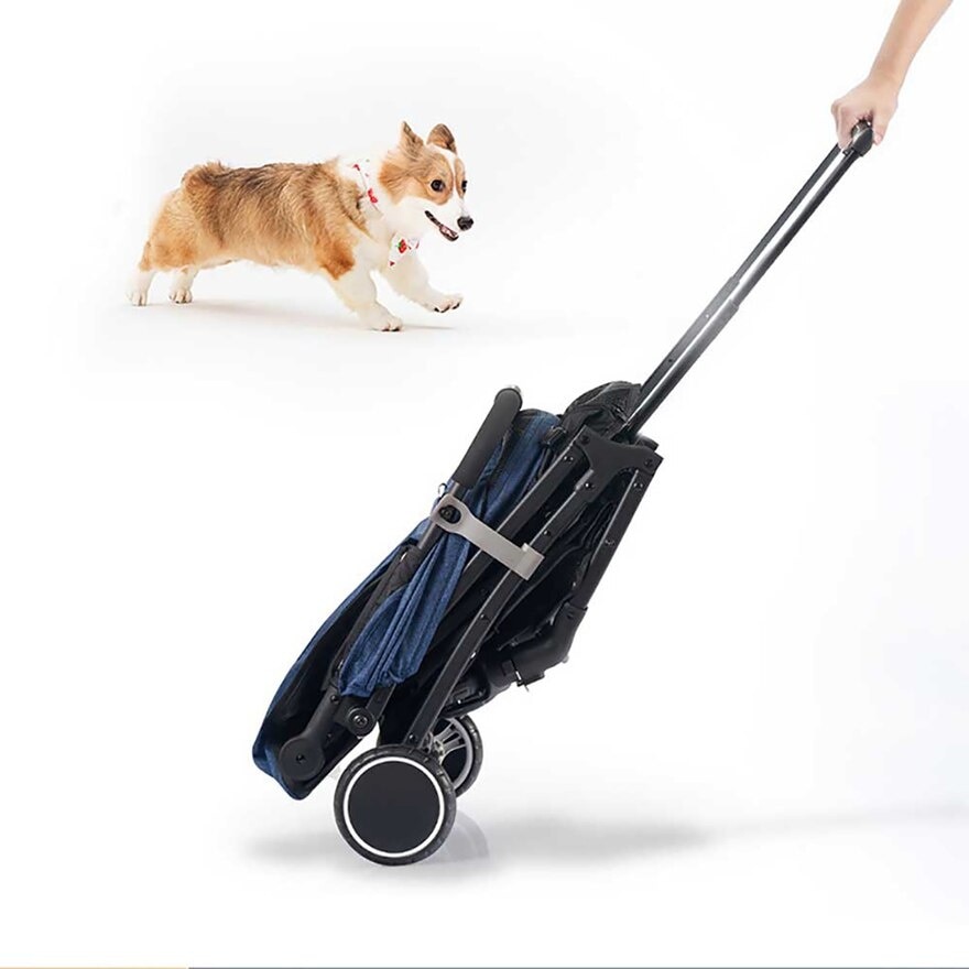 FTRHK-13903401-FEAT2-zoom