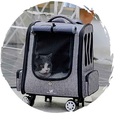 FTRHK-13903508-SIDE-thumbnail