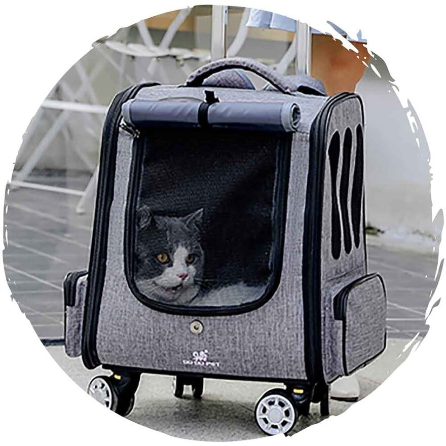 FTRHK-13903508-SIDE-zoom