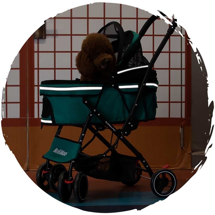 FTRHK-13903575-feat2-zoom.jpg