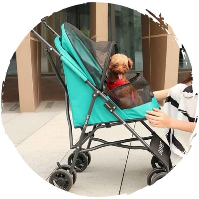 FTRHK-13903866-TOP-thumbnail