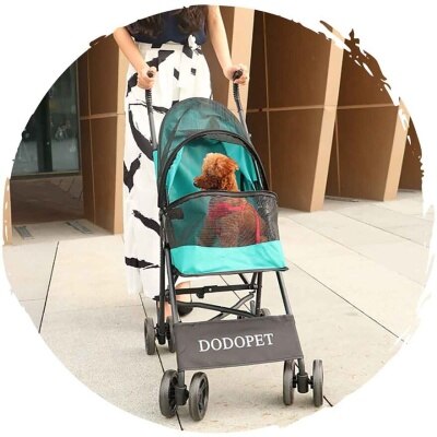 FTRHK-13903874-TOP-thumbnail