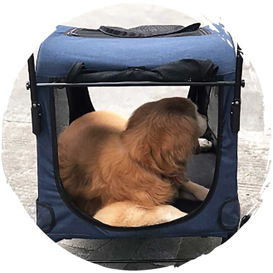 FTRHK-13904025-TOP-zoom