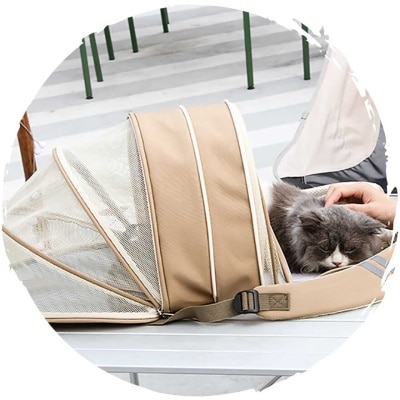 FTRHK-13904076-FEAT1-thumbnail