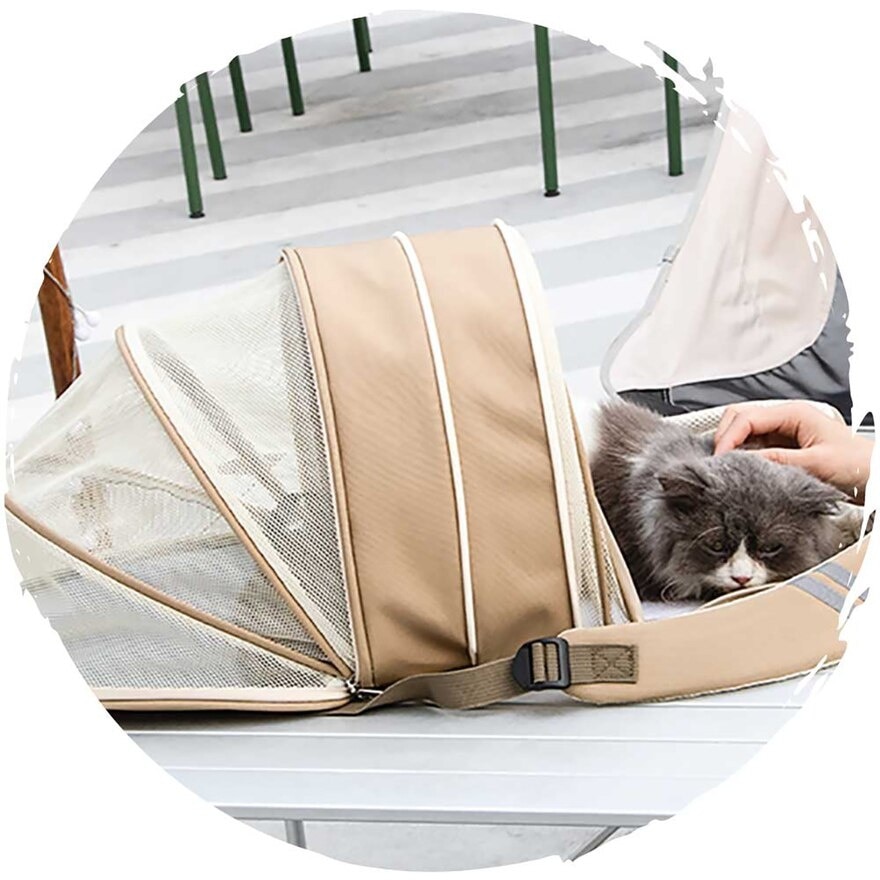 FTRHK-13904076-FEAT1-zoom