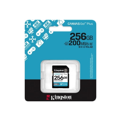 KINGSTON Canvas Go!Plus SD Memory card//256GB