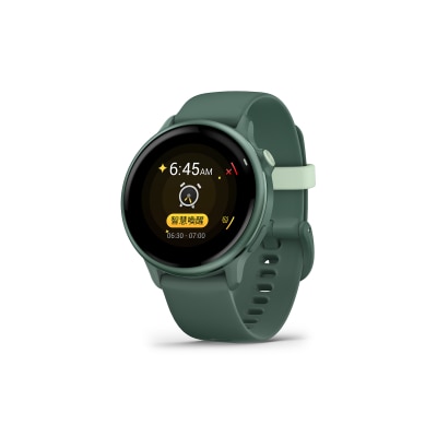Garmin Vivoactive 6 智能手錶