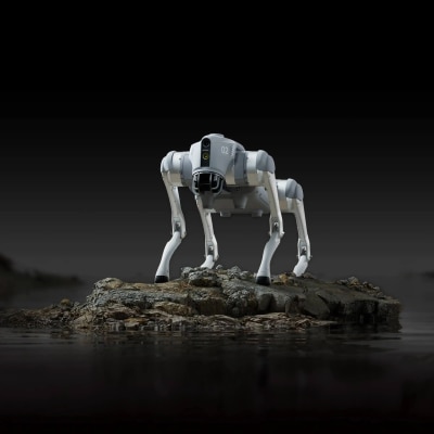 UNITREE Go2 Pro Bionic Quadruped Robot image