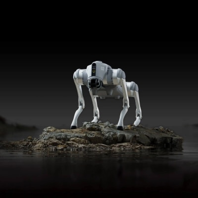 UNITREE Go2 Pro Bionic Quadruped Robot image
