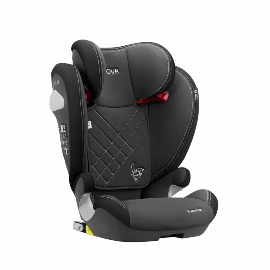 FTRHK-13912261-BACK-zoom