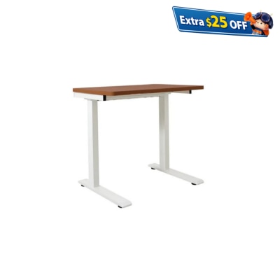 Zenox Ergonomics Office Desk Lite (Fixed-Height, 100cm)