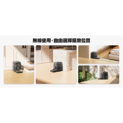 FTRHK-13921263-BACK-thumbnail.jpg
