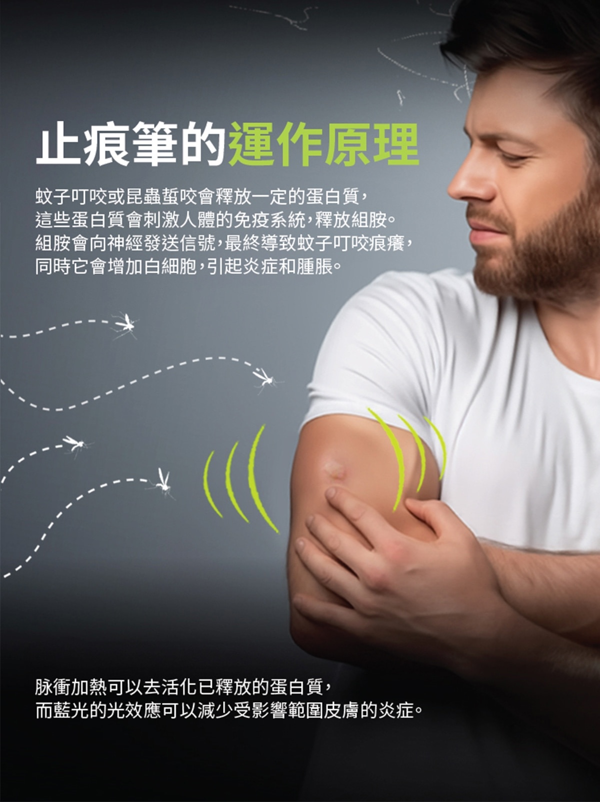 FTRHK-13939834-BACK-zoom.jpg