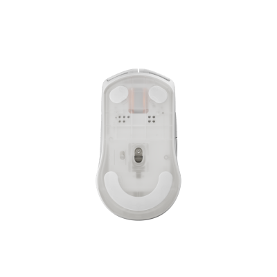 FTRHK-13942793-BACK-thumbnail.png