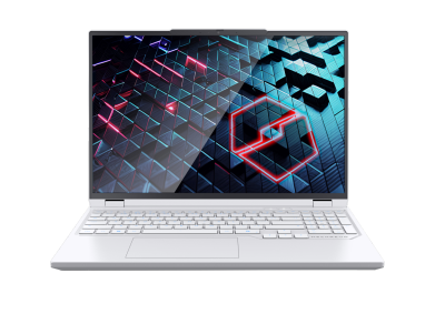 MECHREVO 机械革命 蛟龙16 RTX5070TI 电竞手提电脑